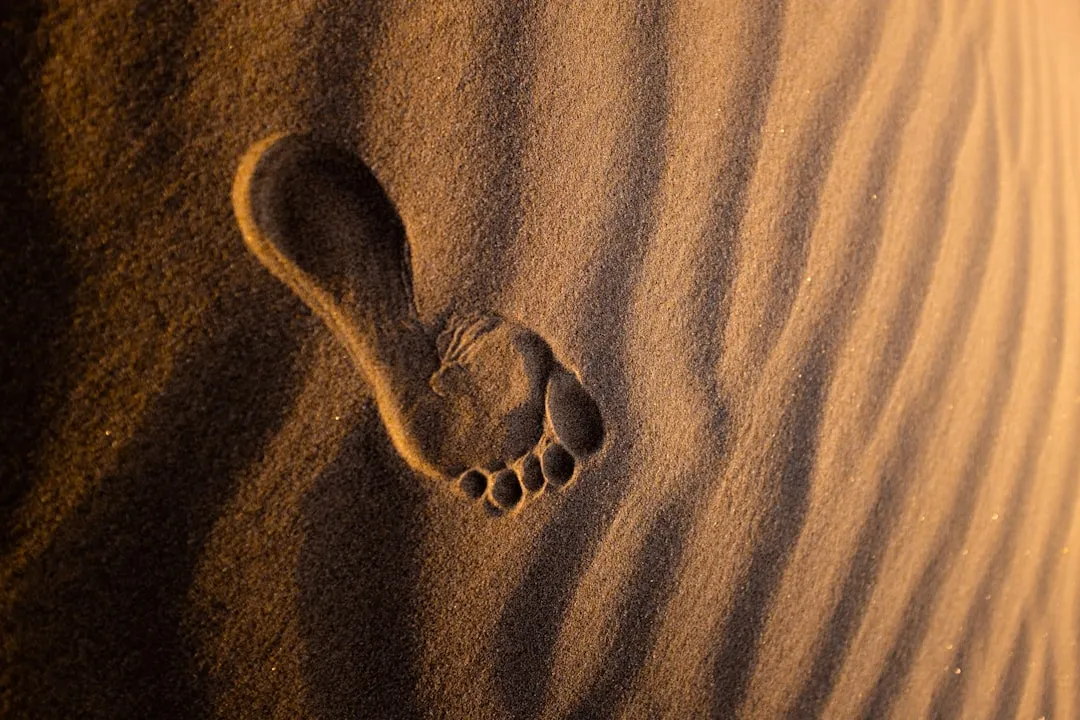 Photo by Jeremy Bishop on Unsplash
