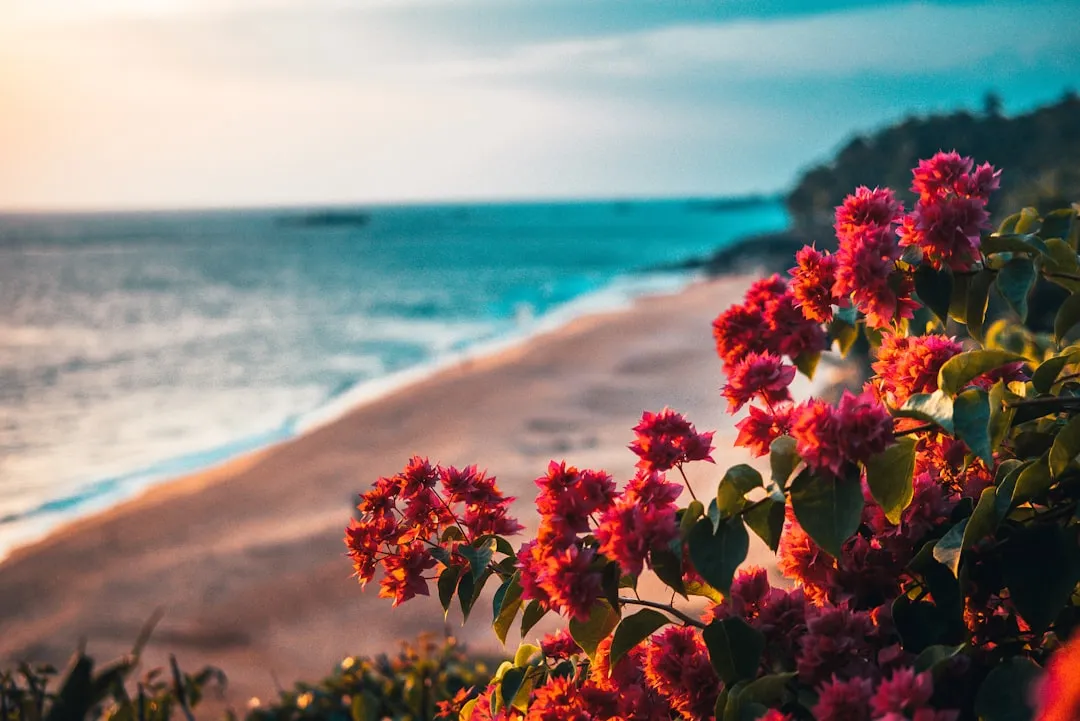 Photo by Raimond Klavins on Unsplash