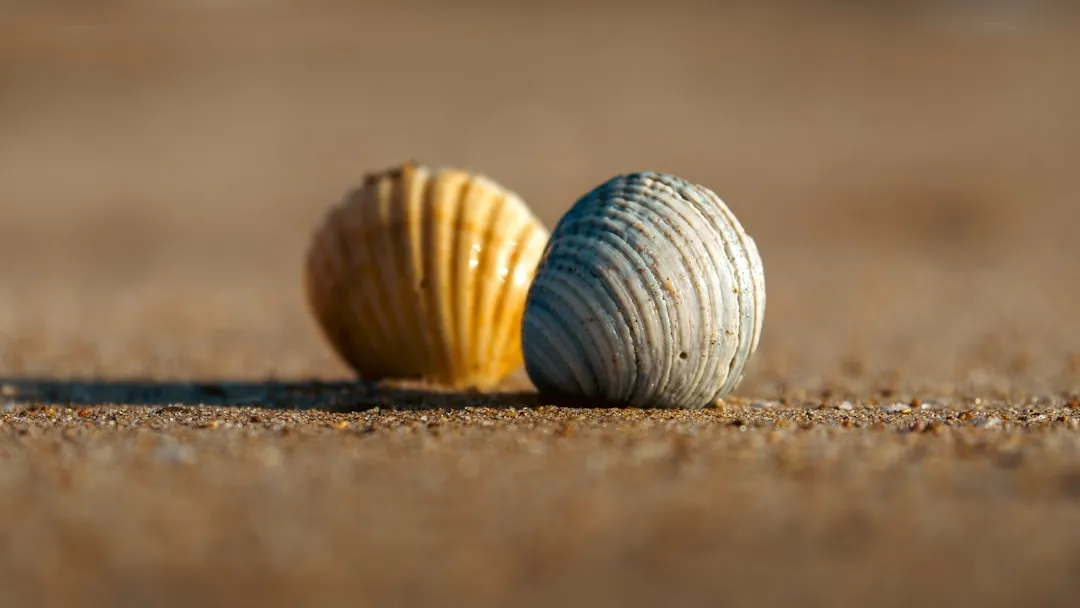 Photo by Othman Alghanmi on Unsplash